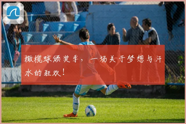 橄榄球颁奖季,一场关于梦想与汗水的狂欢!