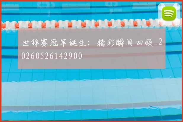 世锦赛冠军诞生:精彩瞬间回顾_20260526142900