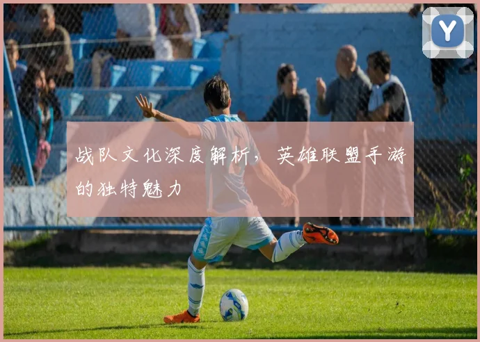 战队文化深度解析,英雄联盟手游的独特魅力